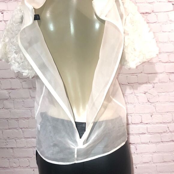 St John silk sheer top with rose appliqués size 4 - Picture 3 of 8